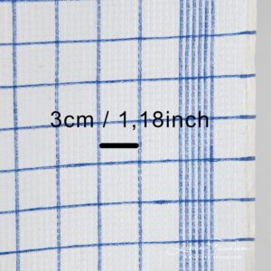 Off white linen fabric in blue checks.